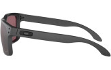 P&auml;ikeseprillid OAKLEY Holbrook erimudelid "Steel Collection" Prizm Daily Polarized