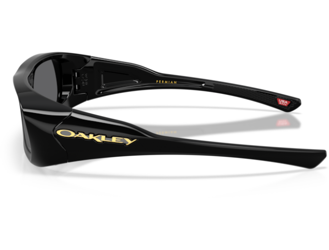 Oakley Permian Black Prizm Black