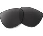 OAKLEY Frogskins Lens Prizm Black Polarized