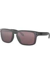 P&auml;ikeseprillid OAKLEY Holbrook erimudelid "Steel Collection" Prizm Daily Polarized